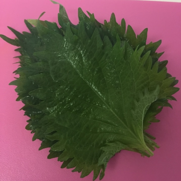 大葉保存
